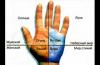 Гадание по ладони руки: как определить характер человека?